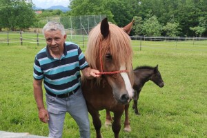 Kao u stara vremena, cijelo selo proslavilo dolazak ždrijebeta