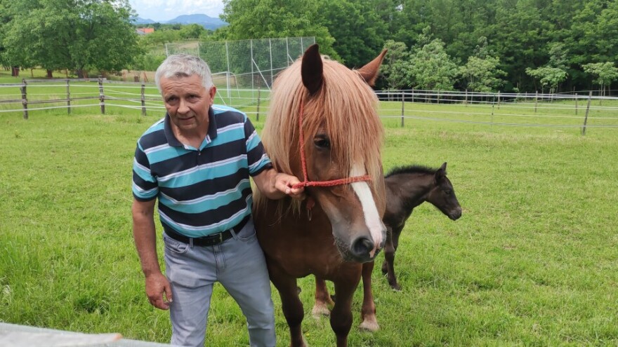 Kao u stara vremena, cijelo selo proslavilo dolazak ždrijebeta