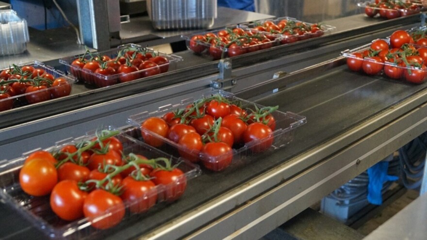 Uštedite vreme i novac na kupovinu polovnih pakerica: Kako i kojih?