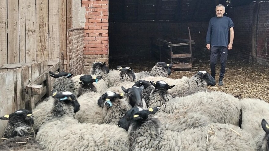 Rudan: "Romanovske ovce se lako jagnje, a ovnovi dostižu i do 120 kg"
