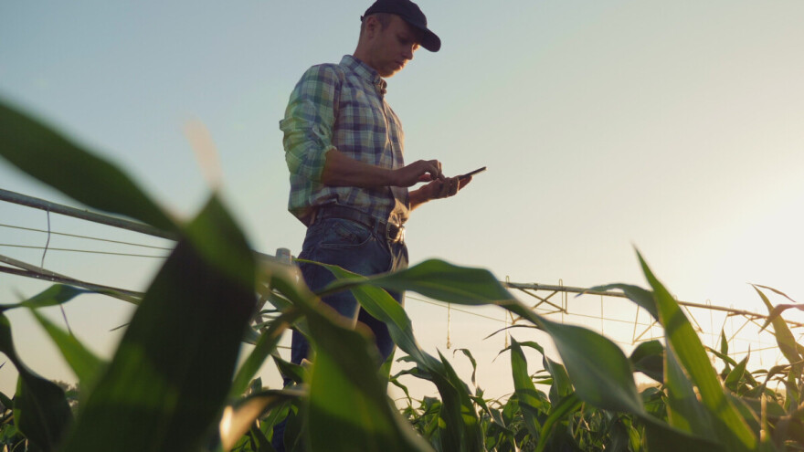 Na isplatu čeka 24.000 rešenja za subvencije, proveravajte eSanduče