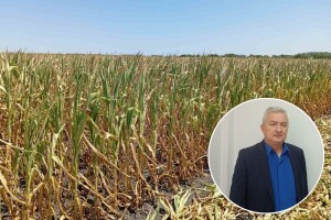 Kontinuitet gubitaka! To je razlog za nervozu poljoprivrednika