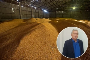 Šta to "ne štima" i izaziva čuđenje na tržištu žitarica?