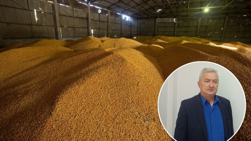 Šta to "ne štima" i izaziva čuđenje na tržištu žitarica?