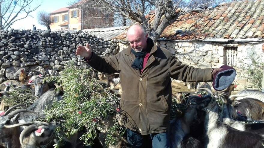 150 koza nevrijeme prikovalo uz staju bez hrane, onda je u pomoć skočio Radoslav Bobanović