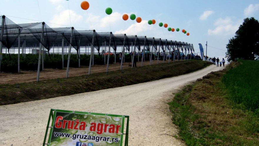 Sabor voćara u Gruži: Voćarsko "trojstvo" -  struka, nauka i praksa