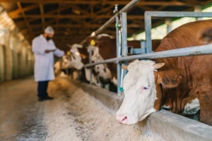 Ostaci veterinarskih lijekova u hrani i dalje su niski