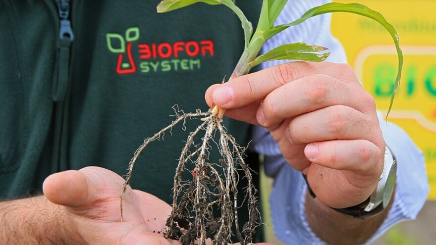 Biofor System - biljka sita, zemlja rastresita!