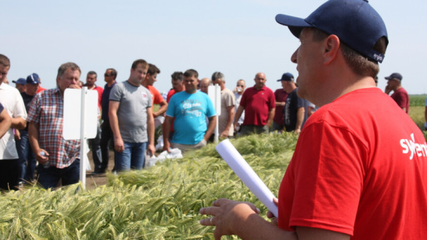 Syngenta Centralni dan polja