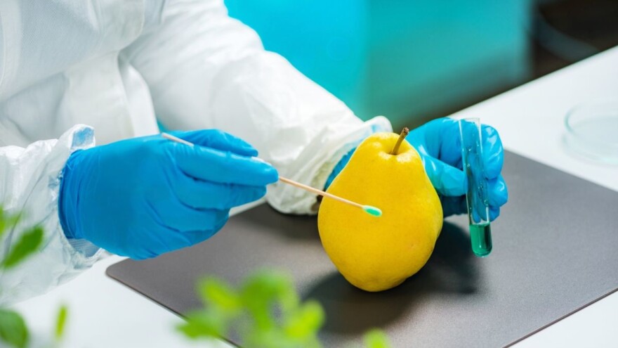 Jagode, spanać i kelj imaju najviše ostataka pesticida