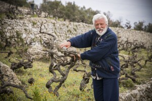 Pelješki vinari zbog kojih će Hrvatska na svjetskoj vinskoj karti još dugo biti u samom vrhu!