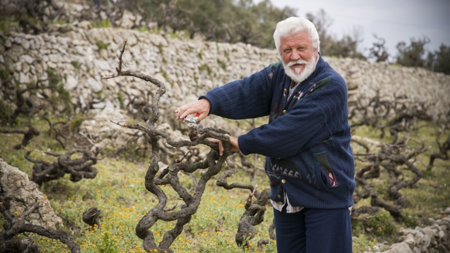 Pelješki vinari zbog kojih će Hrvatska na svjetskoj vinskoj karti još dugo biti u samom vrhu!