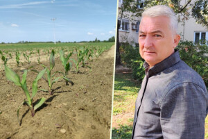 Kiša je pala, ali problemi nisu nestali: Kako vrijeme kroji prinose?