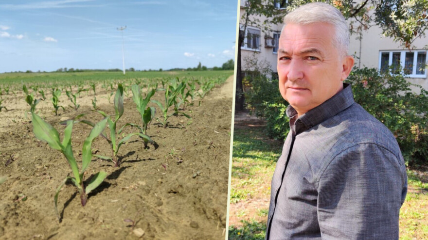 Kiša je pala, ali problemi nisu nestali: Kako vreme kroji prinose?