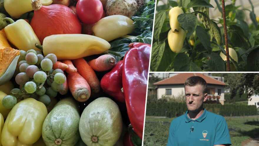 Proizvodnju počeo bez podrške, danas ne stiže zadovoljiti potražnju