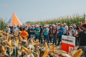 Održan KWS Dan polja kukuruza - predstavljeni hibridi budućnosti!