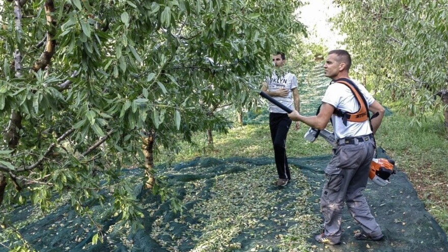 LAG-ovima dodijeljena sredstva, provjerili smo kada planiraju objavu natječaja