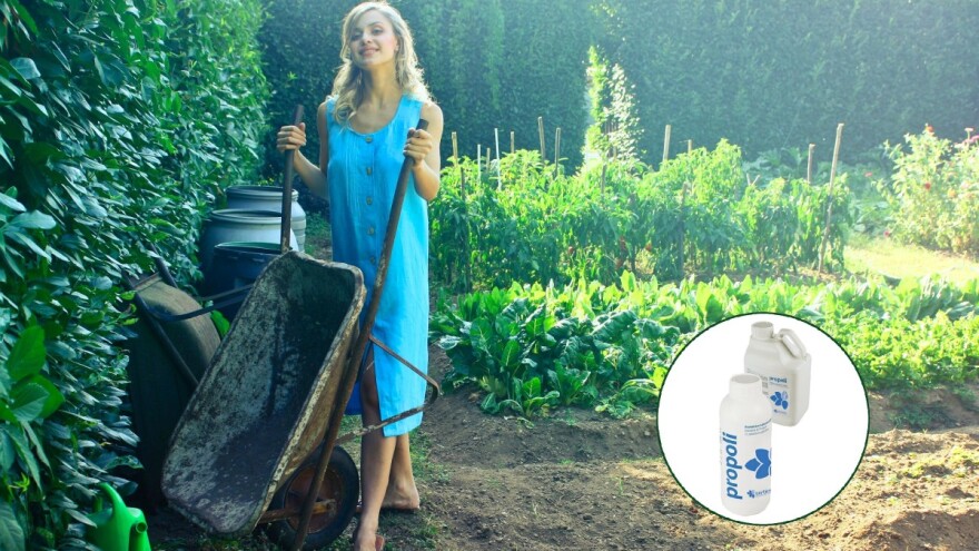 Mikroorganizmi i Propoli važni saveznici u ekološkoj borbi protiv bolesti i bakterija