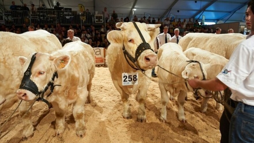 Besplatan ulaz na veliki svjetski sajam genetike!