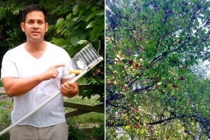 Evo kako napraviti berač za trešnje, višnje i ostalo sitnije voće
