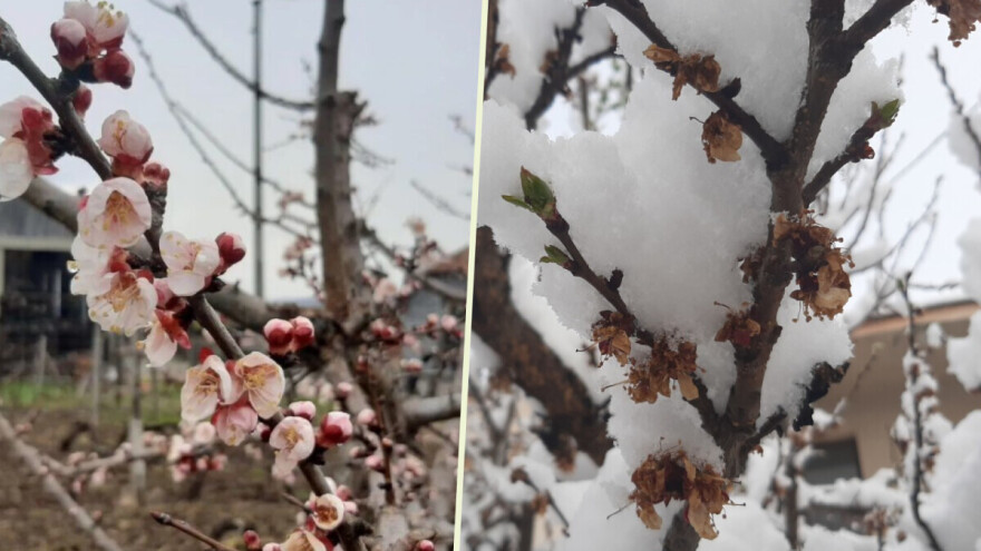 Marta je dobre volje, dok repom ne ošine?