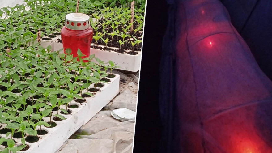 Božeprosti, a ko leži? Domišljati Josip Vrkljan grije rasadu lampionima