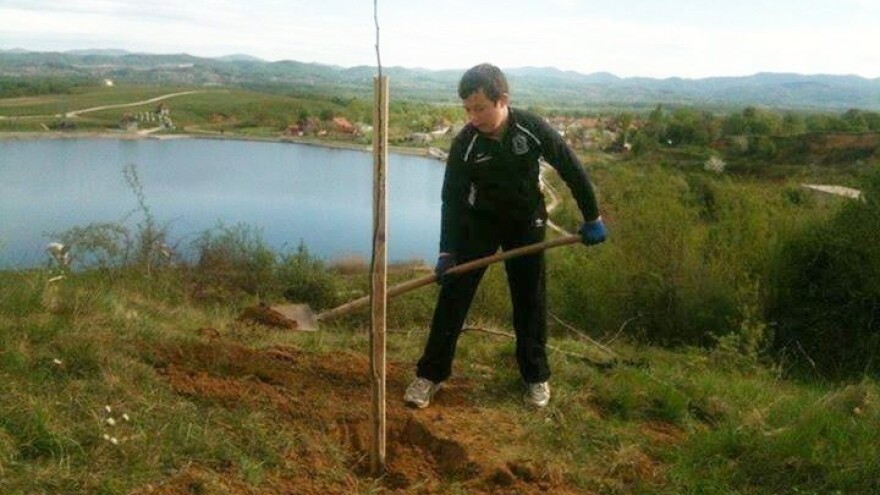 Sadnja oraha sprječava klizišta!