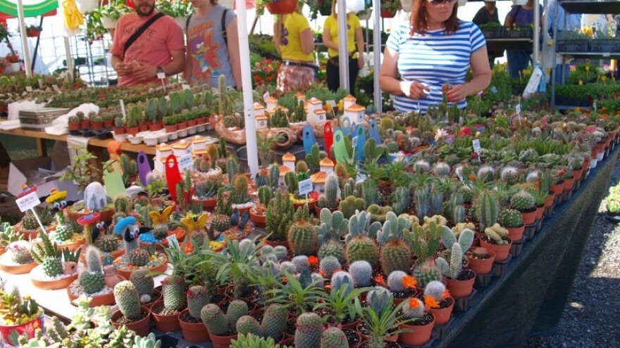 217 sretnih izlagača na Floraartu!