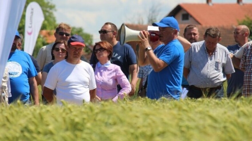 400 proizvođača pred Syngentinim hibridima