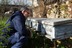 Dvije ljubavi Tonče Ferbežara - pčele i kiparstvo