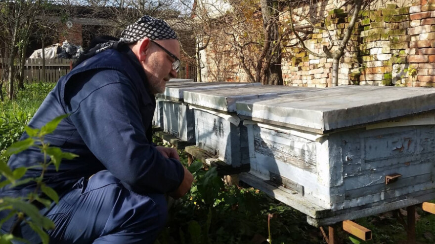 Dvije ljubavi Tonče Ferbežara - pčele i kiparstvo