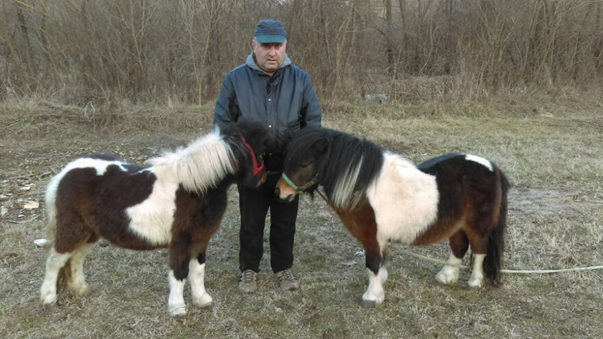 Uz poni konje ostvario davni san