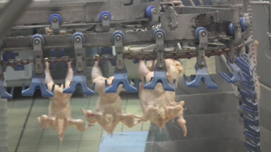 Živinarstvo: koncept od njive do viljuške