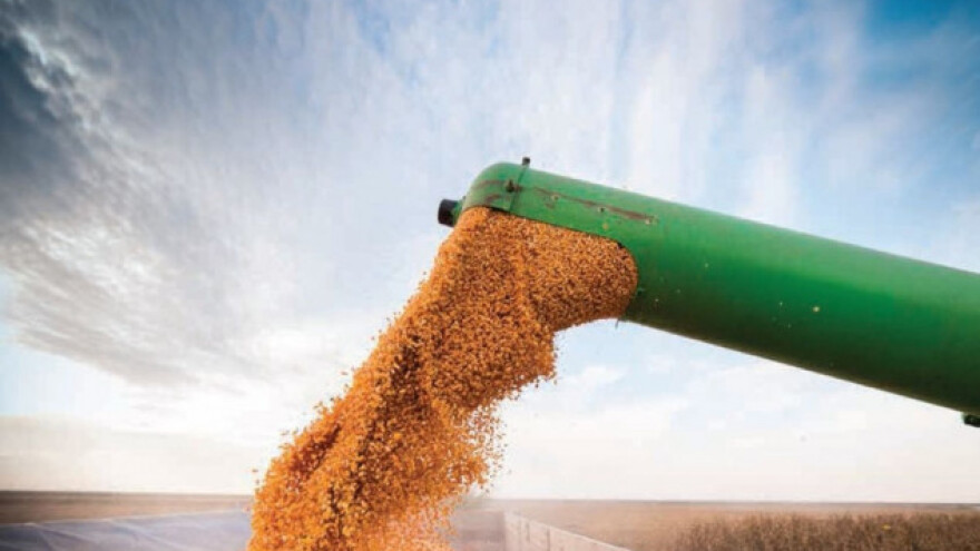 Lakše do odabira hibrida kukuruza uz rezultate pokusa s čak 60 lokacija!