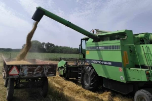 Raspisan javni poziv za subvencije do 17.000 dinara, uskoro počinje otkup pšenice za robne rezerve