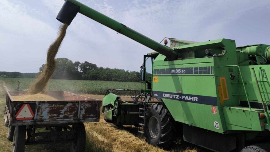 Raspisan javni poziv za subvencije do 17.000 dinara, uskoro počinje otkup pšenice za robne rezerve