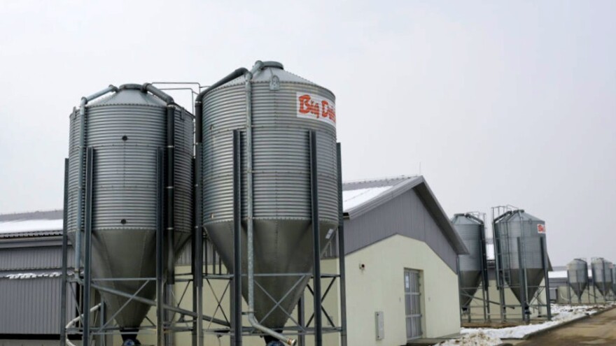 BiH dobila novu farmu pilića – proizvodit će milion brojlera godišnje