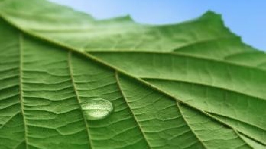 EU AgroInfo i AgroTehnika - broj 8