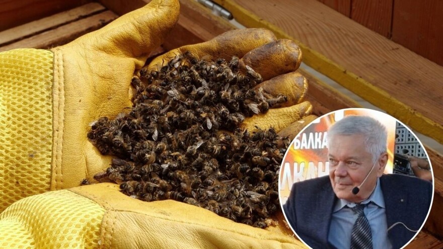 Vodeći mađarski stručnjak za bolesti pčela: Četiri su njihove glavne "ubice", nije samo varoa!