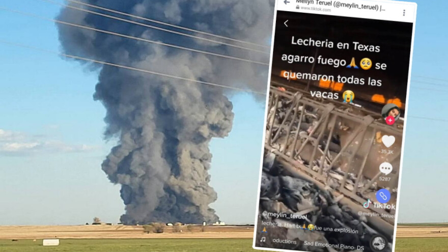 Nezapamćena tragedija: Izgorjelo 18.000 krava u eksploziji i požaru