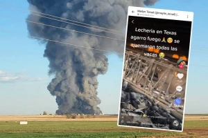 Nezapamćena tragedija: Izgorelo 18.000 krava u eksploziji i požaru