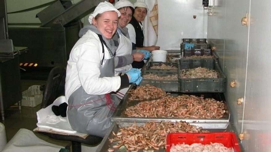 Felicita u kršu Zagore - tvornica za preradu ribe