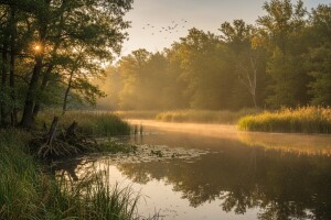 Nastavak saradnje sa Svetskim fondom za prirodu