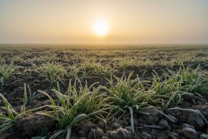 Nastavlja se suvo vreme