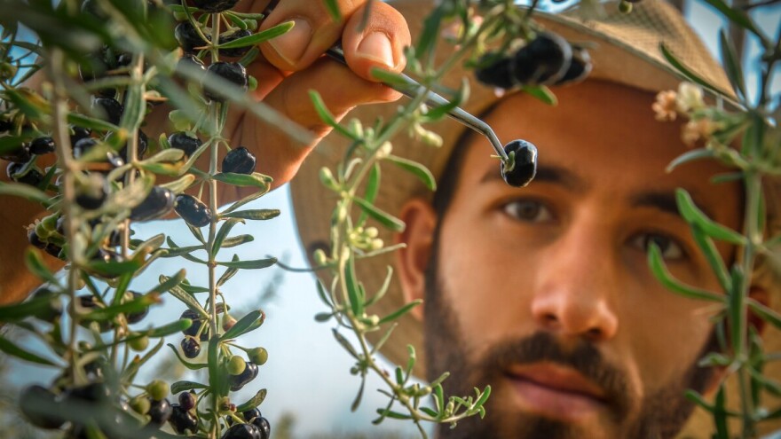 Kako napraviti dobru ruralnu fotografiju mobitelom?