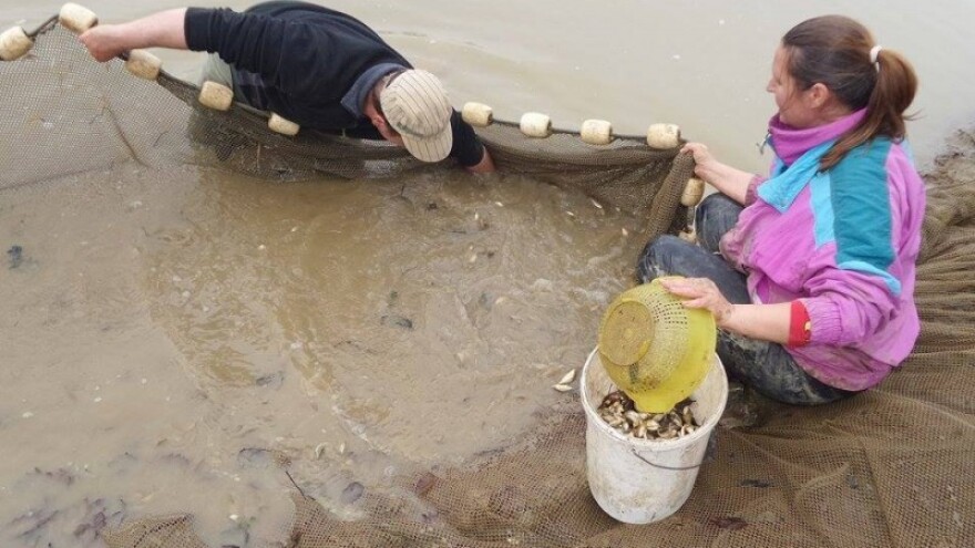 Sadašnji zakon ribičima veže ruke!