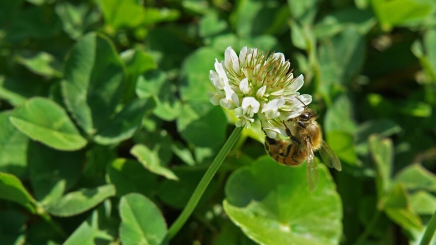 Još 9 dana za prijavu na prvi natječaj za nepoljoprivredne djelatnosti!