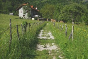 Raspisan prvi natječaj za ulaganja u nepoljoprivredne djelatnosti, potpore i do 200.000 eura!