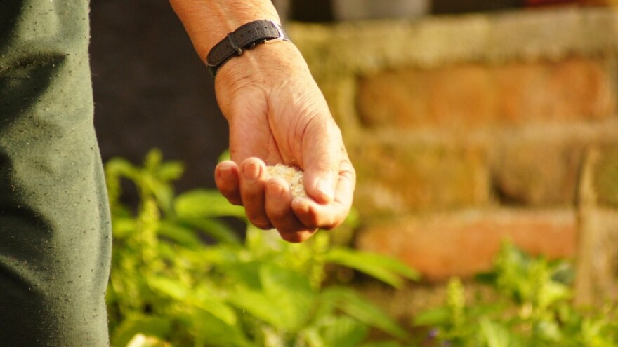 Otvoren je i natječaj za tip operacije 19.3.2. Provedba aktivnosti projekata suradnje