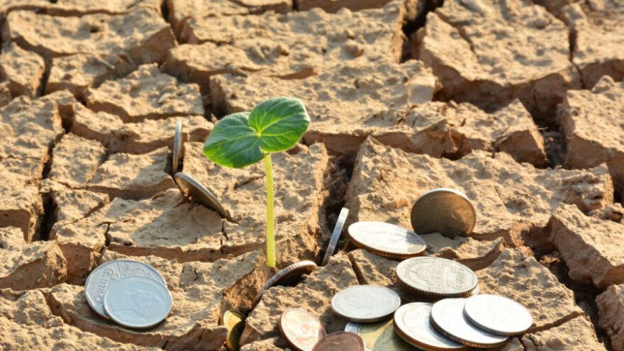 EU novcem obnovite zemljište - prijave od danas!